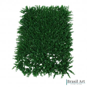 Quadro Verde Permanente Eucalipto 40x60cm