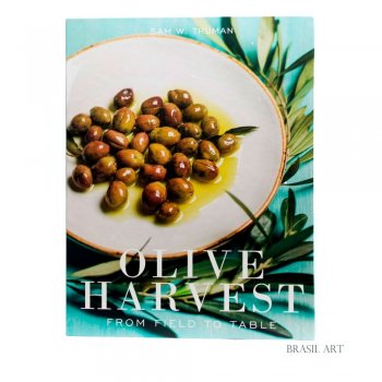 Livro Caixa Olive G