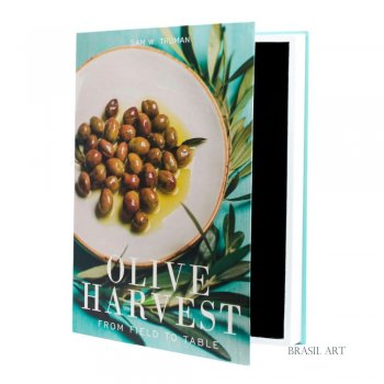 Livro Caixa Olive G